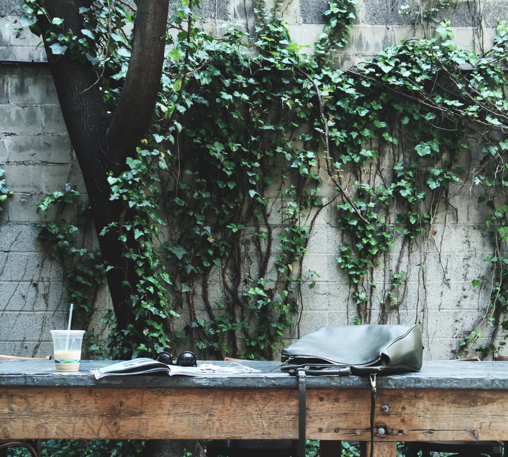 greecologies lush outdoor backyard space in little italy, new york city