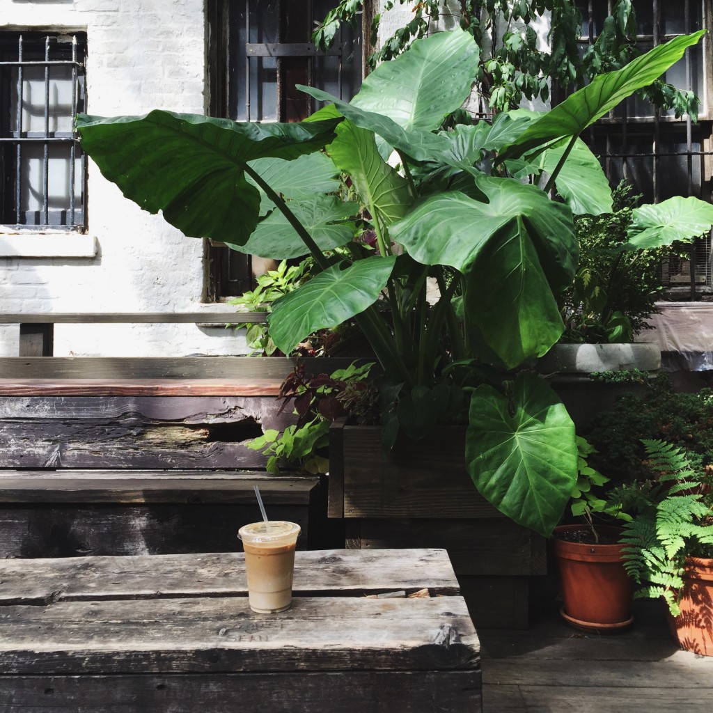 saturdays soho backyard garden, nyc